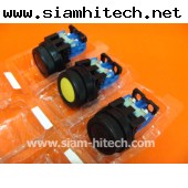 COMMAND SWITCH AR30F0R (FE) 250v (ของใหม่)