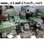 เกียร์ทดรอบ Worm Gear